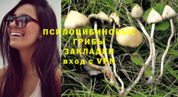шишки Балабаново
